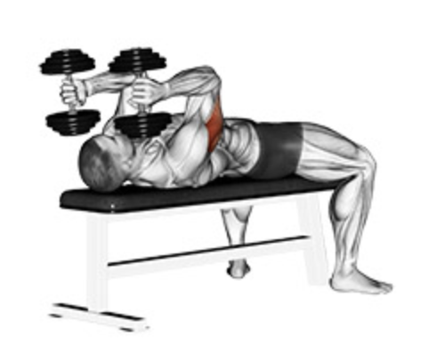 man skullcrusher dumbbell